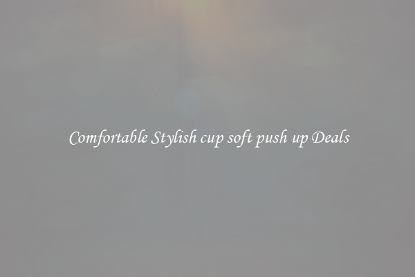 Comfortable Stylish cup soft push up Deals