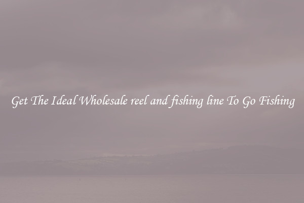 Get The Ideal Wholesale reel and fishing line To Go Fishing