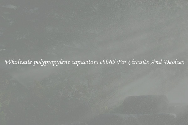 Wholesale polypropylene capacitors cbb65 For Circuits And Devices