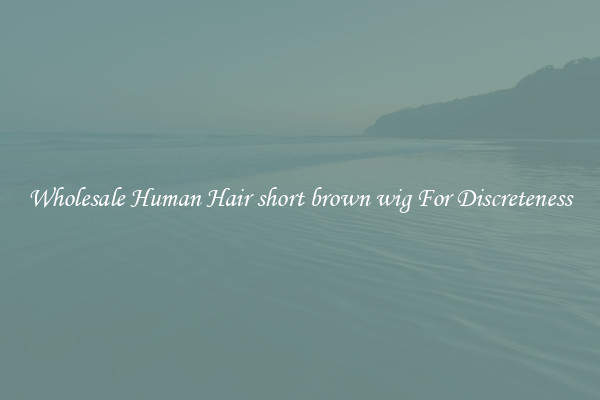 Wholesale Human Hair short brown wig For Discreteness