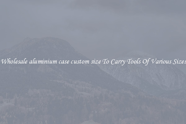 Wholesale aluminium case custom size To Carry Tools Of Various Sizes