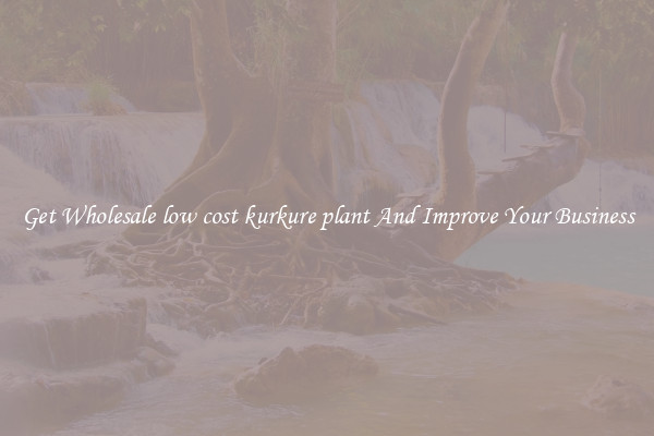 Get Wholesale low cost kurkure plant And Improve Your Business