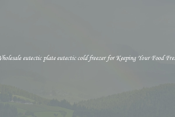 Wholesale eutectic plate eutectic cold freezer for Keeping Your Food Fresh