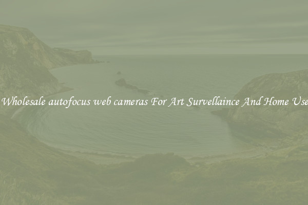 Wholesale autofocus web cameras For Art Survellaince And Home Use