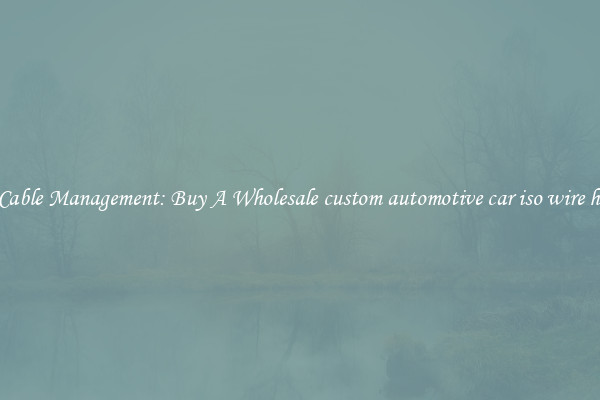 Easy Cable Management: Buy A Wholesale custom automotive car iso wire harness