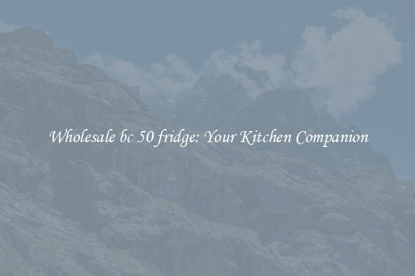 Wholesale bc 50 fridge: Your Kitchen Companion