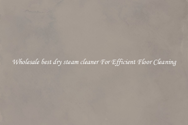 Wholesale best dry steam cleaner For Efficient Floor Cleaning
