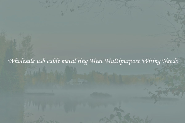 Wholesale usb cable metal ring Meet Multipurpose Wiring Needs