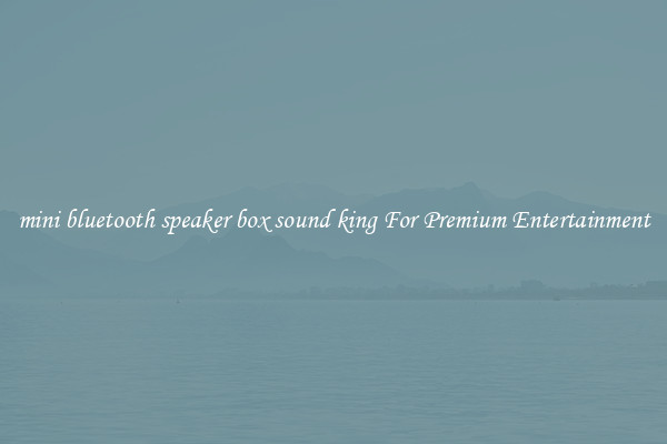 mini bluetooth speaker box sound king For Premium Entertainment