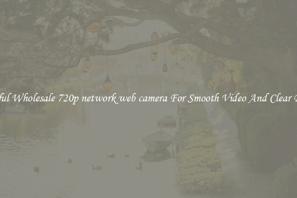 Powerful Wholesale 720p network web camera For Smooth Video And Clear Pictures