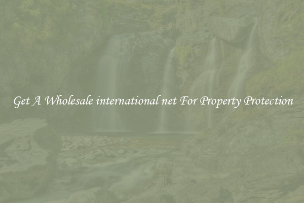 Get A Wholesale international net For Property Protection