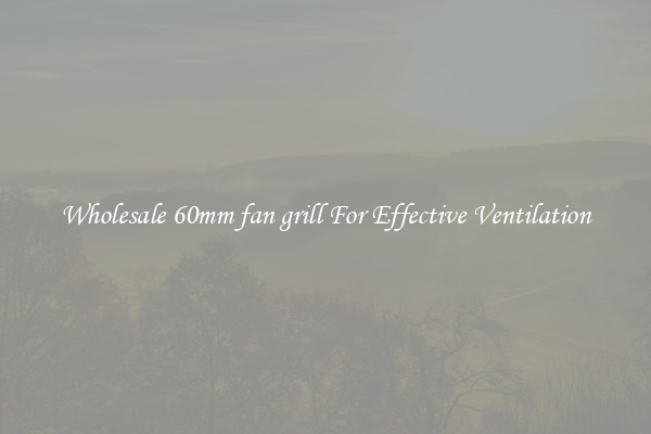 Wholesale 60mm fan grill For Effective Ventilation