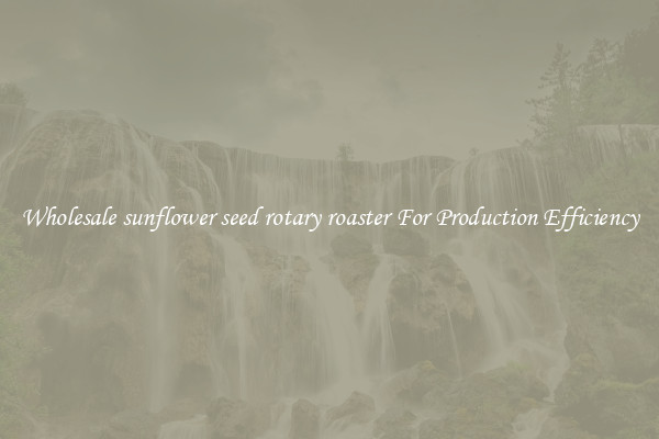 Wholesale sunflower seed rotary roaster For Production Efficiency