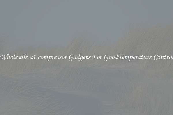 Wholesale a1 compressor Gadgets For GoodTemperature Control